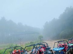 -铁山坪森林公园