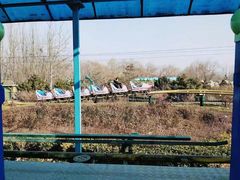 -辛玛王国游乐园