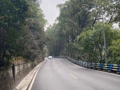 -大金鹰园