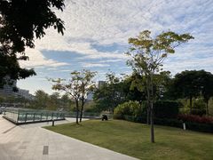 -四海公园(南山区)