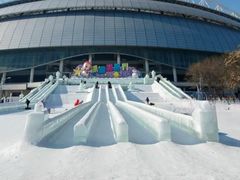 -沈阳奥体冰雪嘉年华