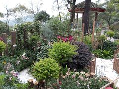 -广州市白云山风景名胜区