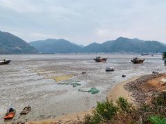 -北岐滩涂