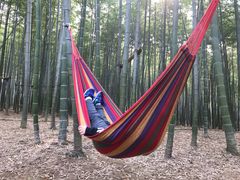 -陶祖圣境风景区