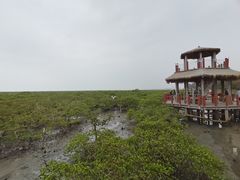 -北海金海湾红树林生态旅游区