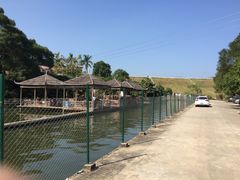 -水库河鲜村