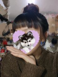 点击看大图 -LILI·HAIR SALON理理造型