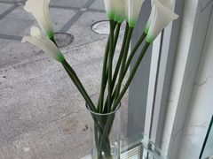 -福奈特洗衣·洗鞋·奢侈品护理(真北店)