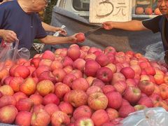 -东仓门早市