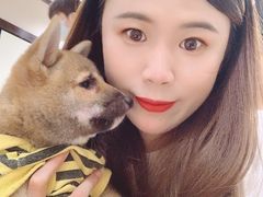 -逗柴咖啡屋·狗咖猫咖宠物桌游