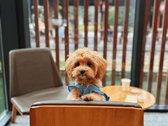 -星巴克(成都天府水街店)