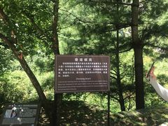 -苍山感通索道