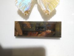 -上海昆虫博物馆