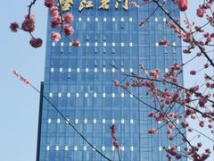 -望江楼公园
