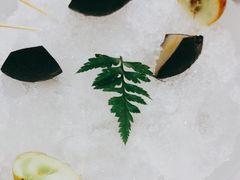 -喜鼎海胆水饺(平安金融中心店)