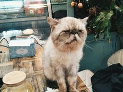 -小时光咖啡馆(北锣鼓巷店)