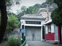 -白水寺森林公园
