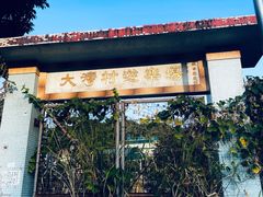 -南丫岛