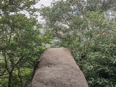 -阿晖沙嗲面