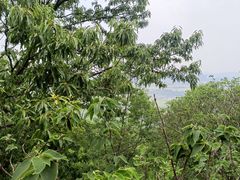 -南京市江宁方山