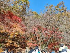 -关门山森林公园
