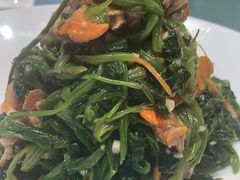 -大连湾旭日·家宴·海肠捞饭(马栏广场店)