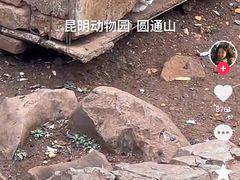 -昆明动物园