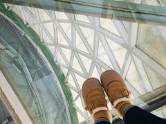 -陕西自然博物馆