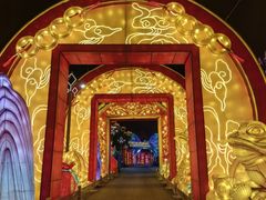 -淄博花灯齐彩城