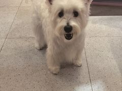 -FAELING PETS美天灵宠物(富力广场店)