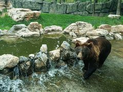 -北京野生动物园