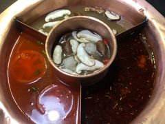 菌王奇香锅-老诚一锅羊蝎子(黄寺大街店)