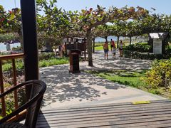 -渔家火锅·海鲜自助餐·演艺(亚龙湾天域酒店)