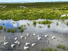 -花湖生态旅游区
