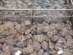 -抹直口特色菜馆(一店)