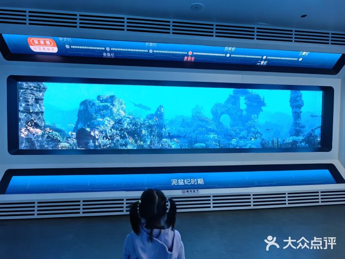 自贡恐龙博物馆图片