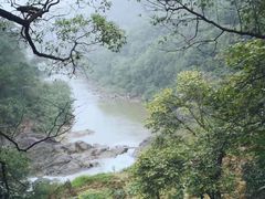 -铁山坪森林公园