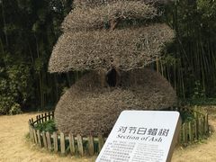 -苏州河梦清园环保主题公园