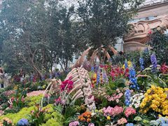 -沈阳植物园