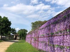 -长洲岛都市农业公园