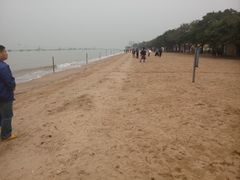 -大湾区中央湿地公园