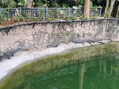 -深圳野生动物园