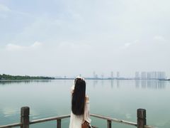 -瑶湖郊野森林公园