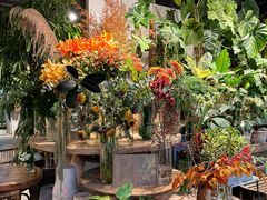 -自由生长植物工作室(深港花卉中心店)