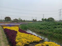 -上海杨姆庄园
