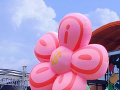 -荷兰花海