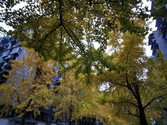 -四川大学(望江校区)