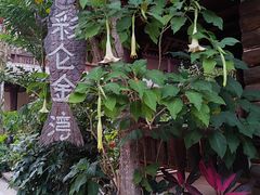 -西双版纳傣族园