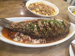 -老字号敖鸡肉