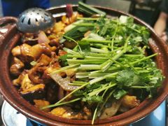 -凤兴鸡煲(宝安海雅店)